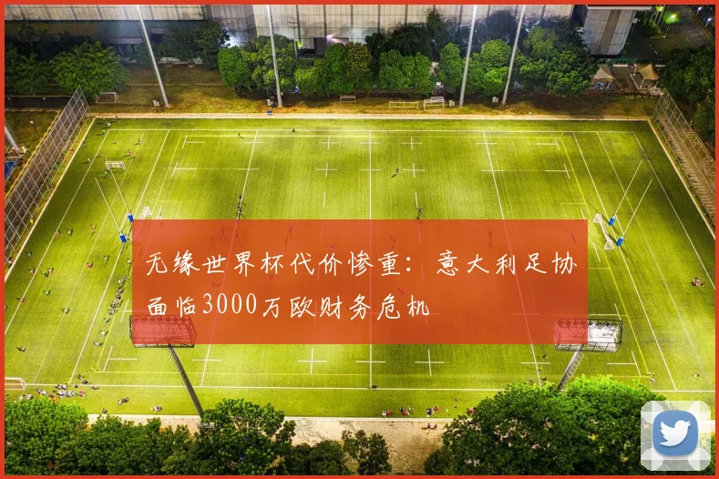 无缘世界杯代价惨重：意大利足协面临3000万欧财务危机